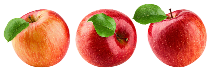 Indian apple orchards – natural mountain cultivation