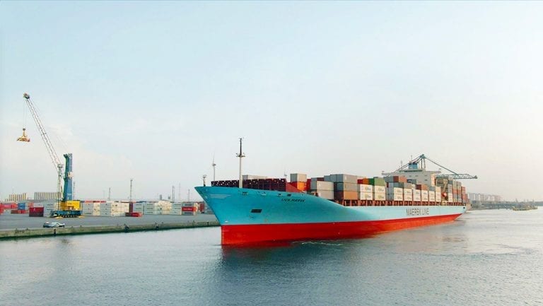 Export shipment of fresh Indian fruits and vegetables to UAE, Europe, and Asia – The House of Exports logistics