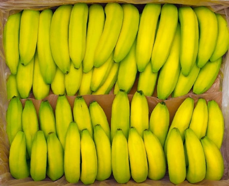 Health and nutrition benefits of Indian bananas