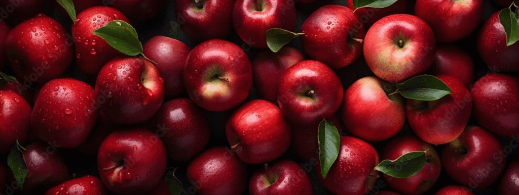 Premium Indian apples for export – crisp and fresh produce from India